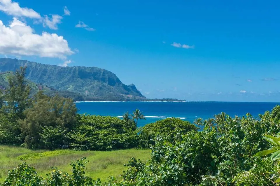 Casa vacanze Ocean And Mountain Views Hanalei Bay Resort Princeville